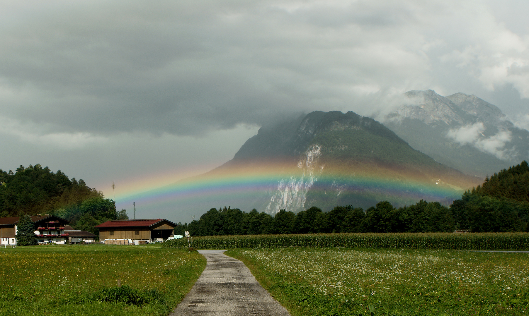 Regenbogen