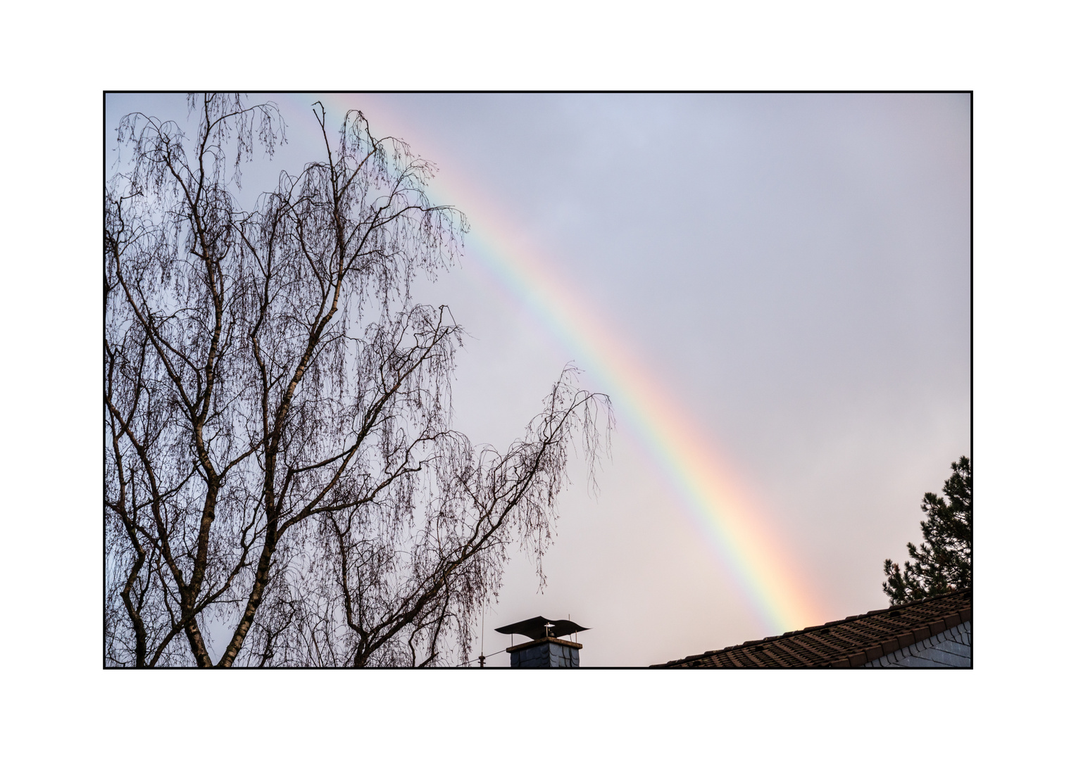 Regenbogen