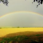 Regenbogen