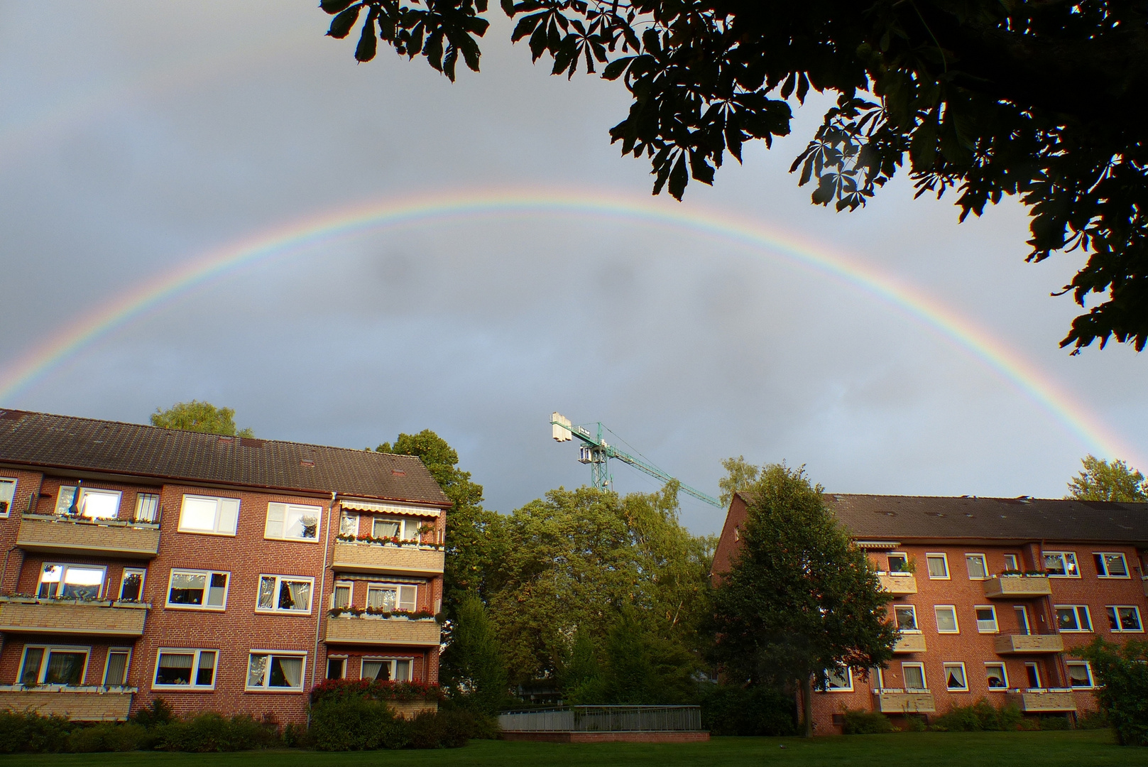 Regenbogen