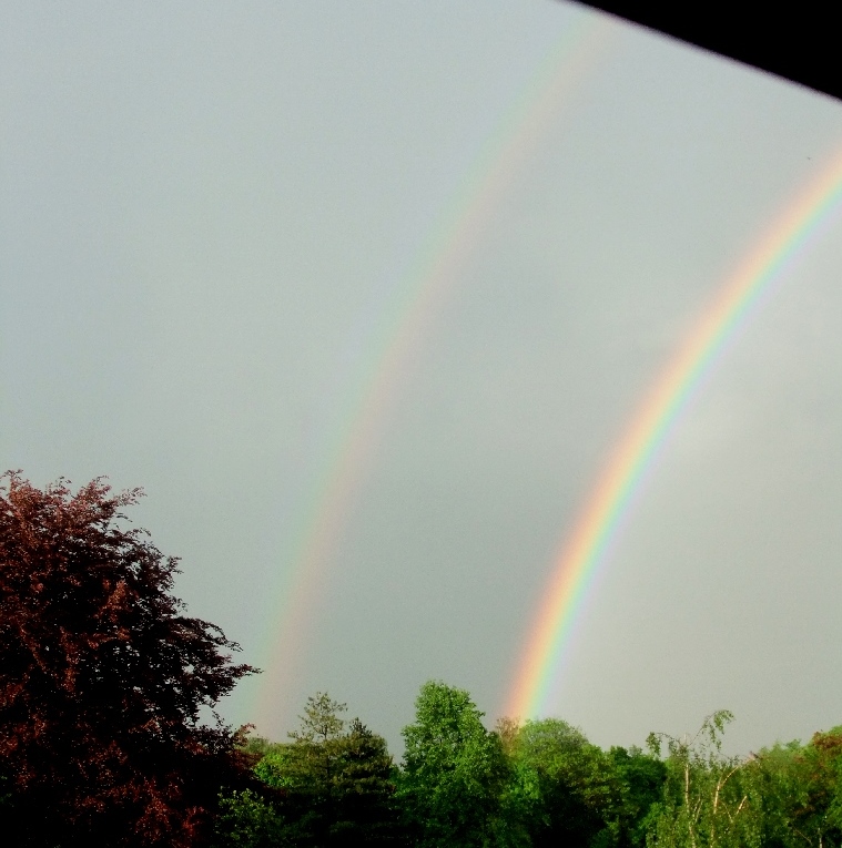 Regenbogen