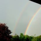 Regenbogen