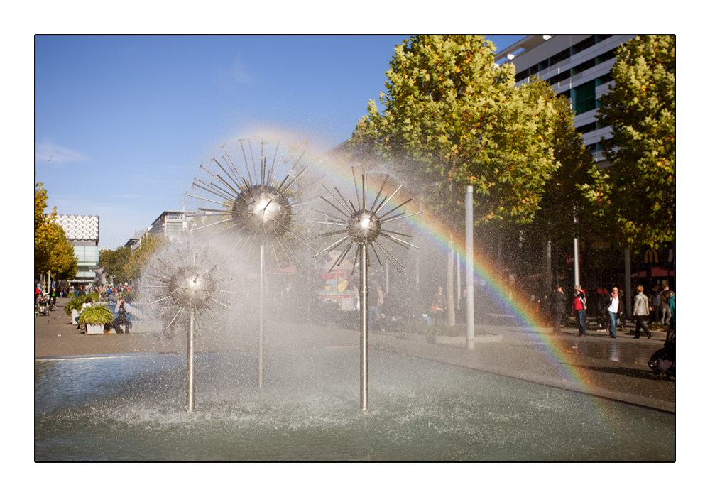 Regenbogen