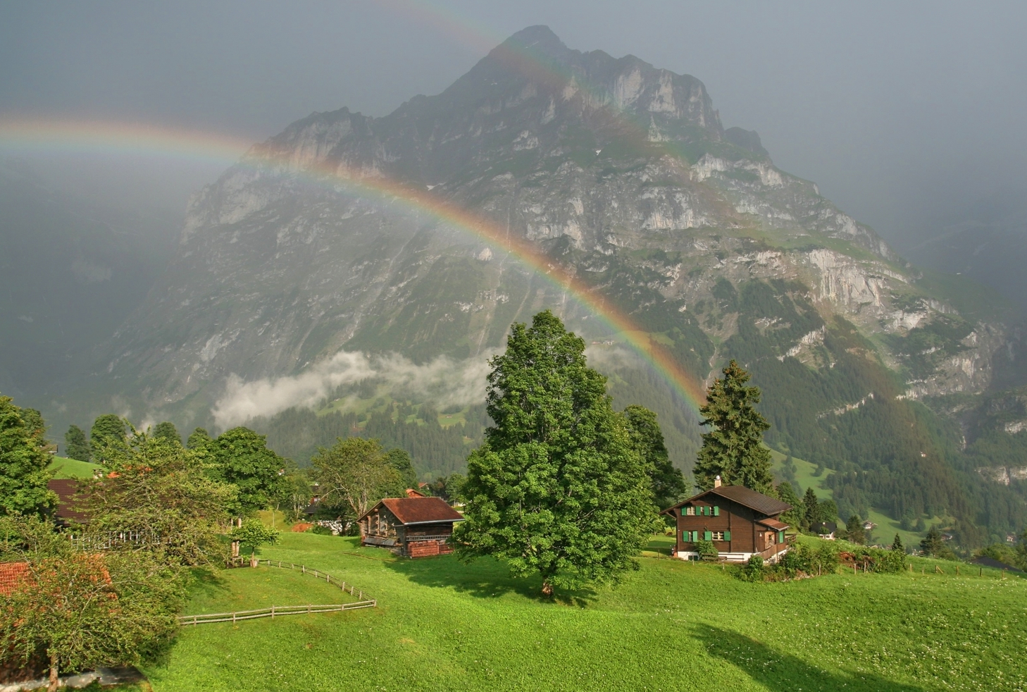 Regenbogen