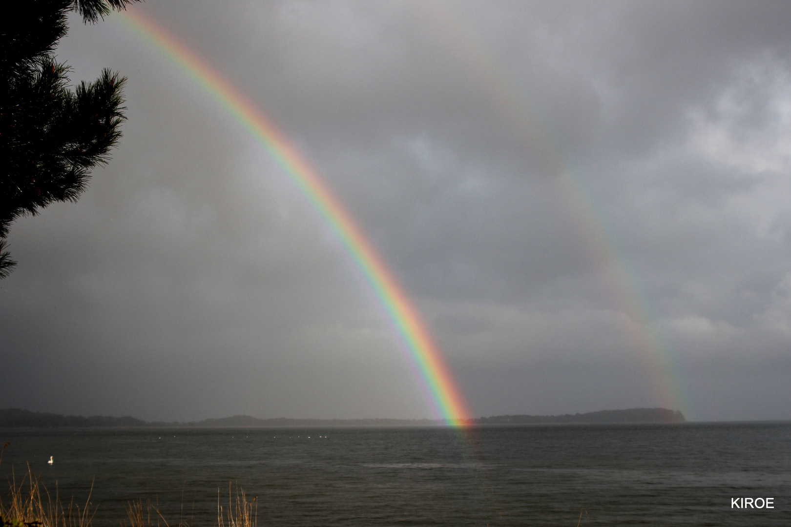 Regenbogen