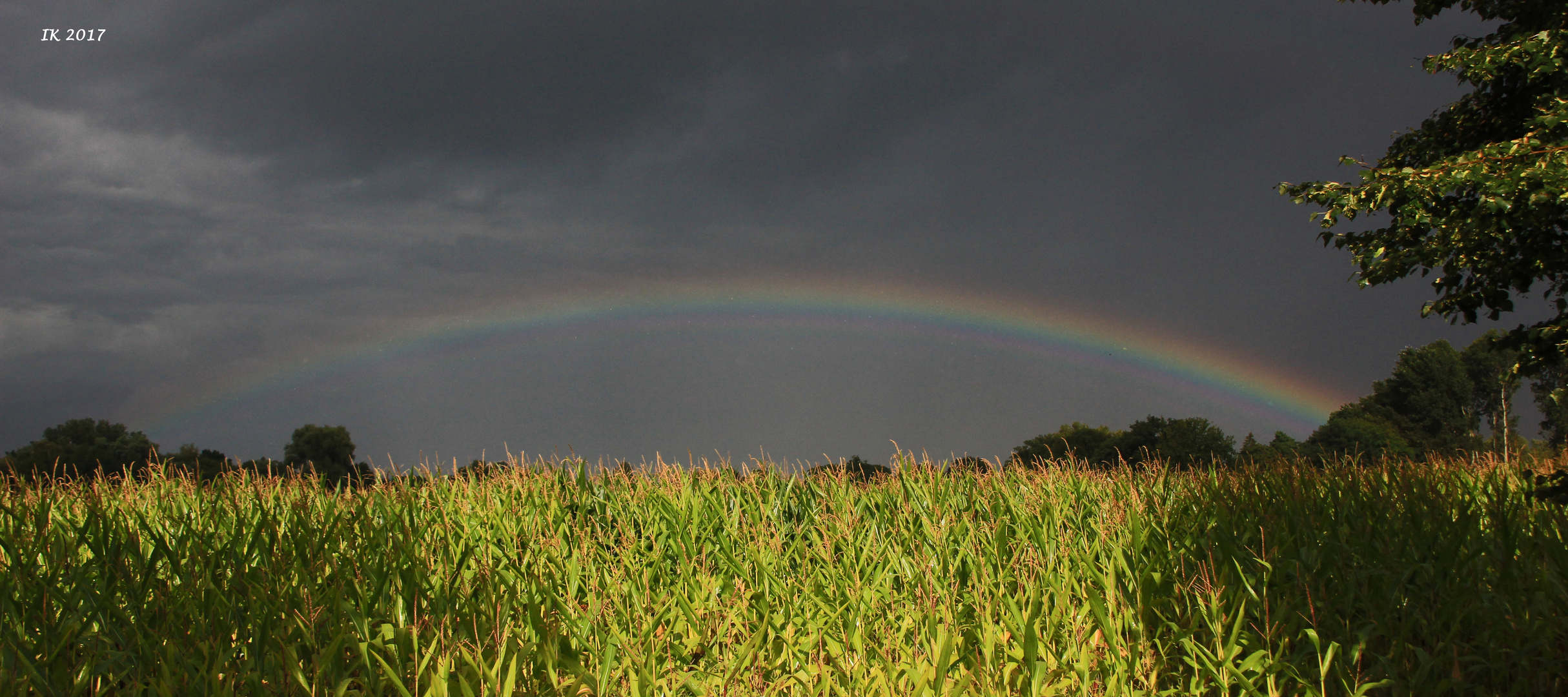 Regenbogen