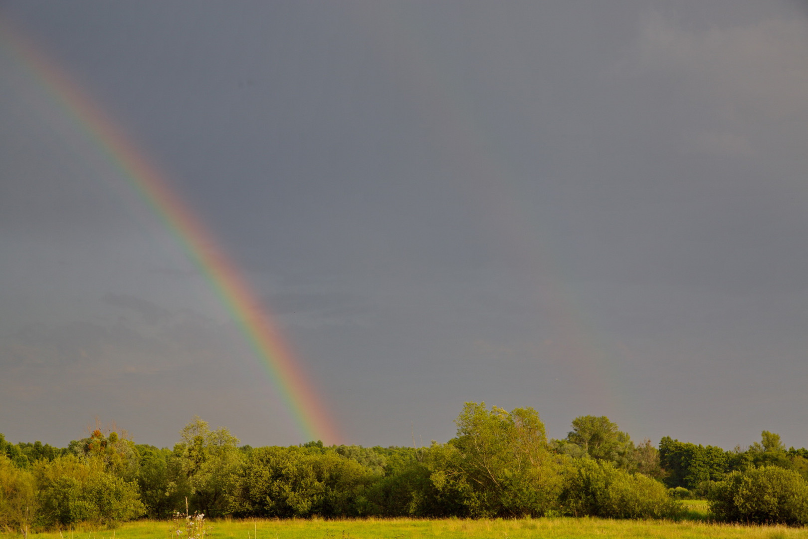 Regenbogen