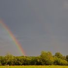 Regenbogen