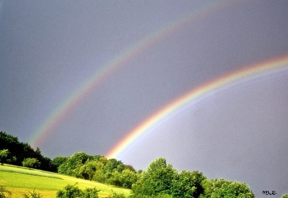 Regenbogen