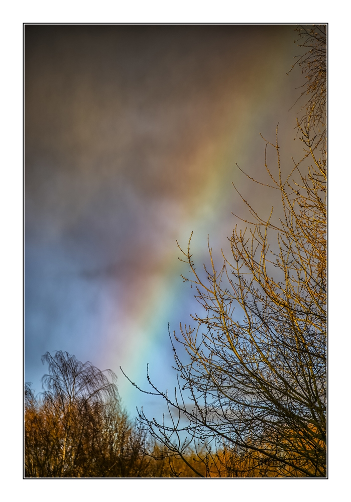 Regenbogen