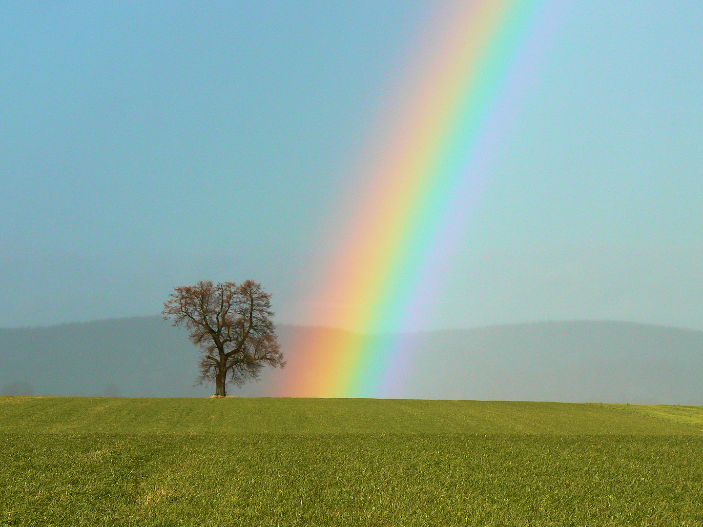 Regenbogen