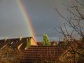 Regenbogen von Biehl Bernhard 