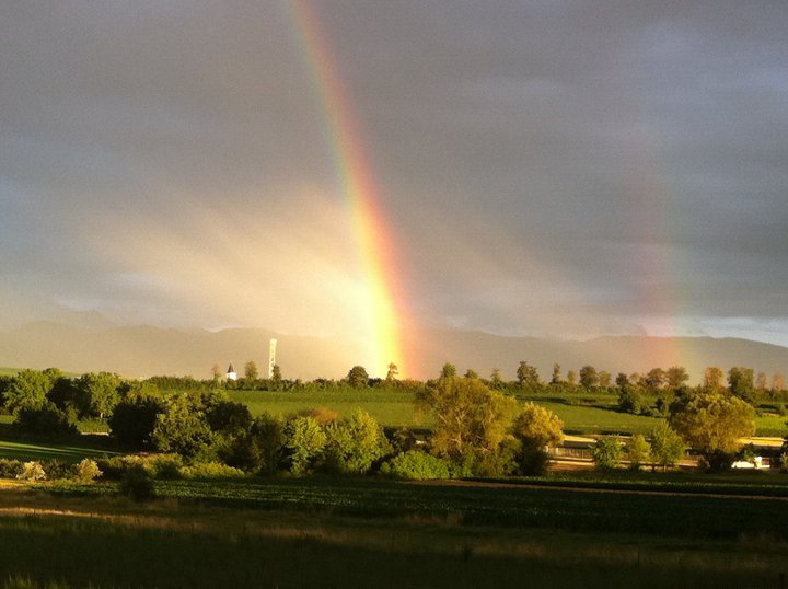 Regenbogen