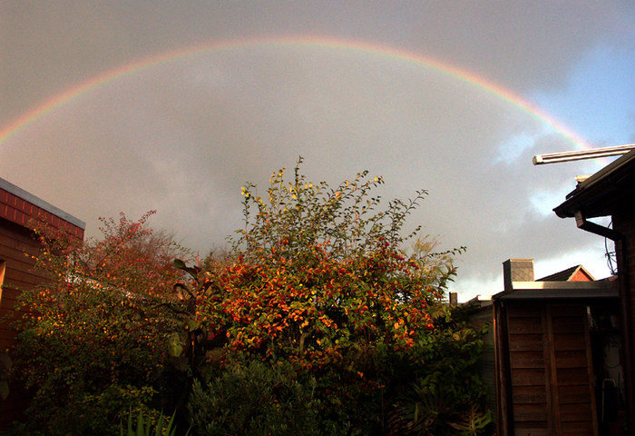 Regenbogen