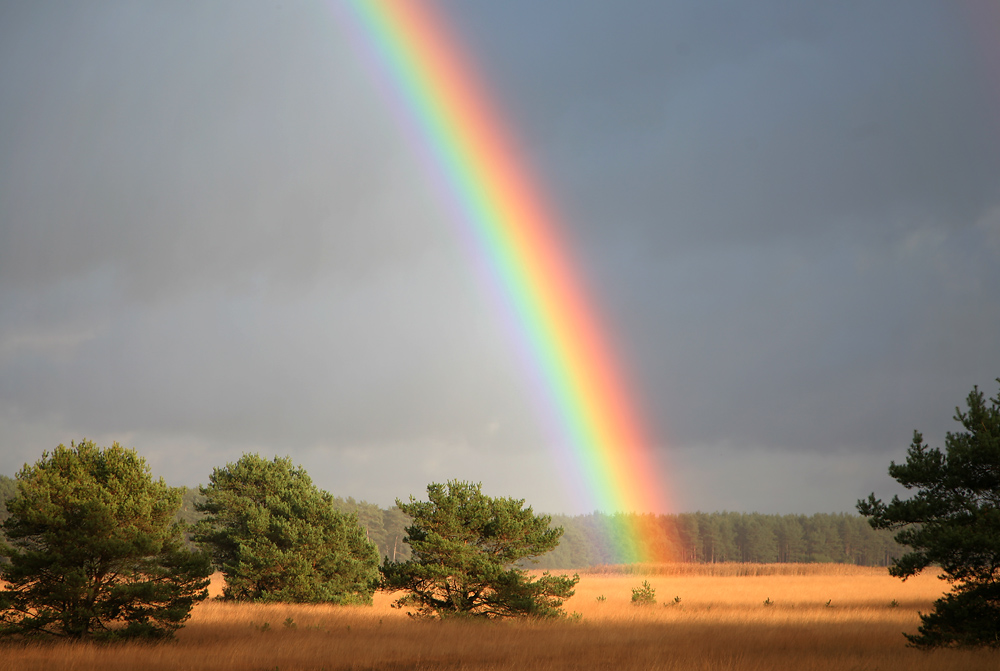 Regenbogen