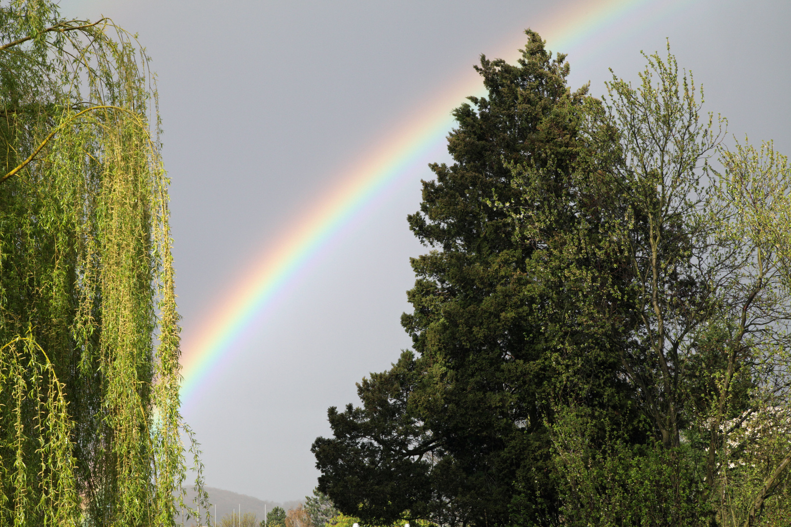 Regenbogen