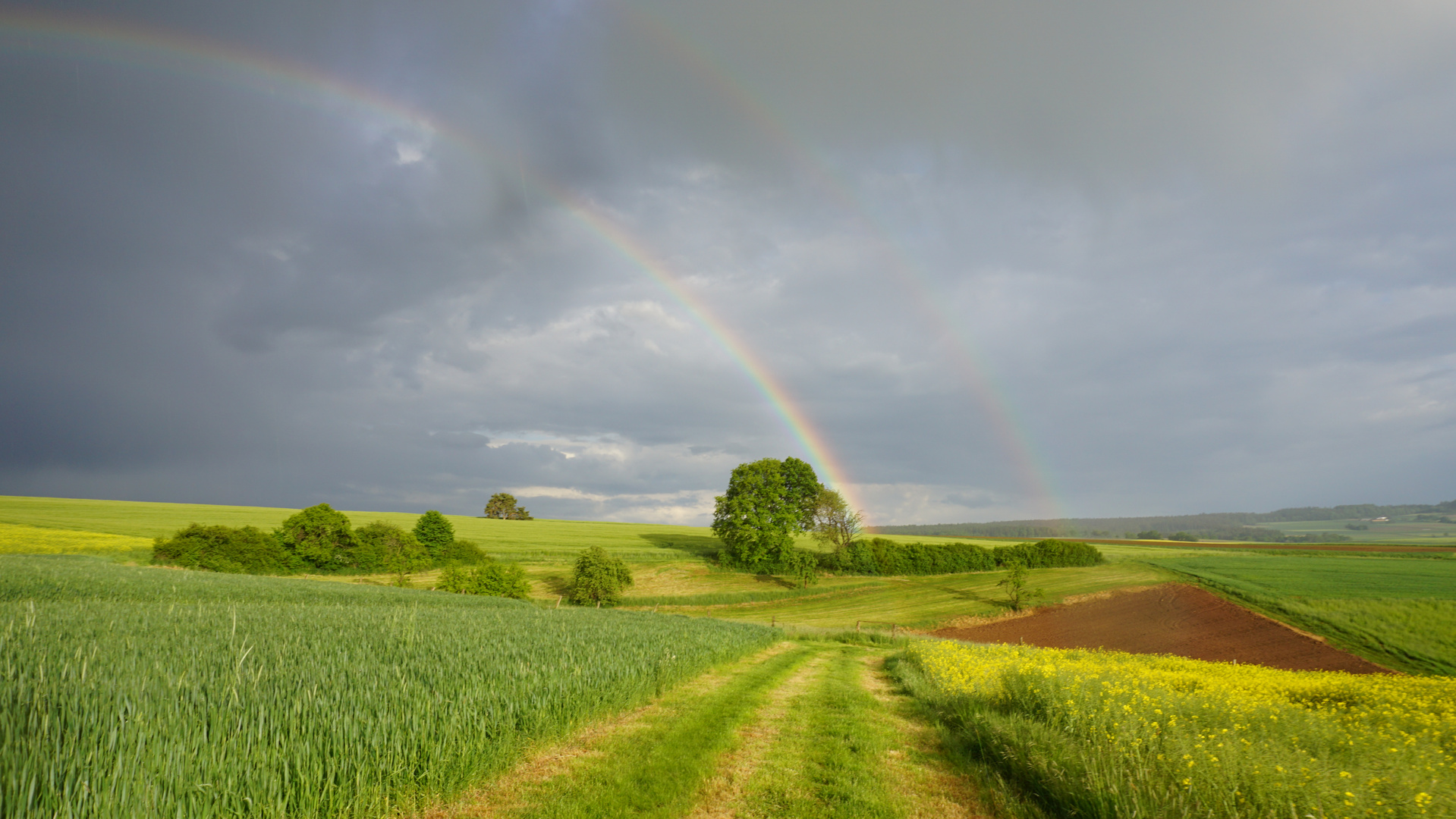 Regenbogen