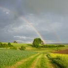 Regenbogen