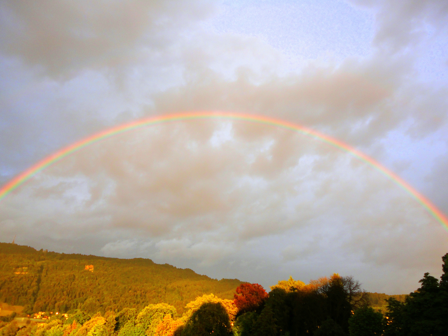 Regenbogen