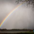 Regenbogen