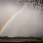 Regenbogen