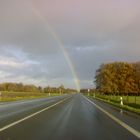 Regenbogen