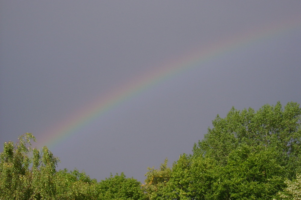 Regenbogen