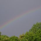 Regenbogen