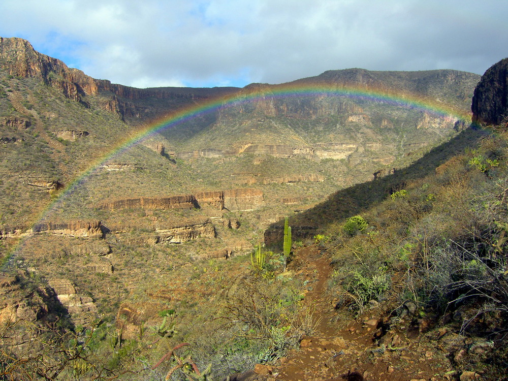 Regenbogen