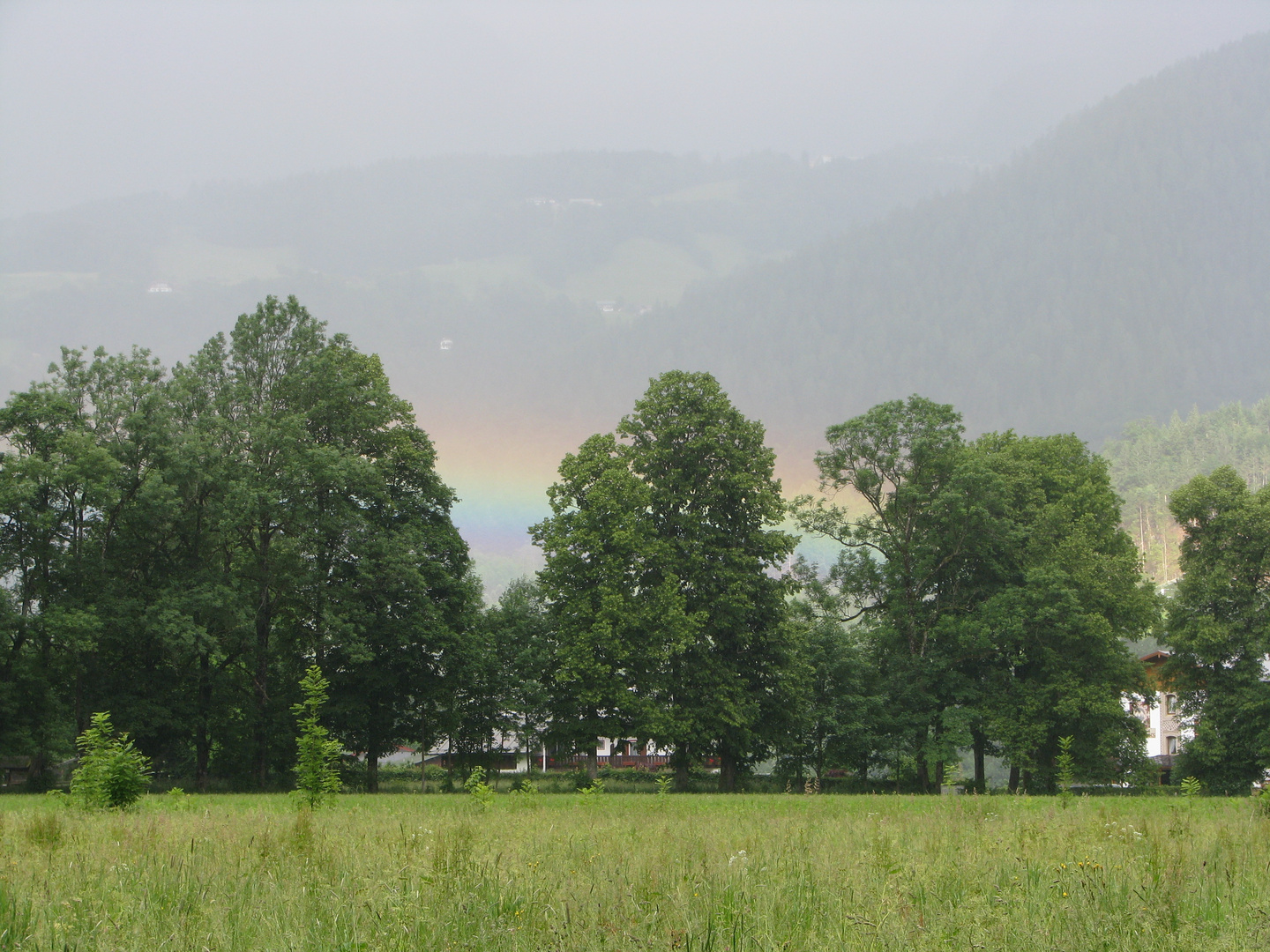 "Regenbogen"...