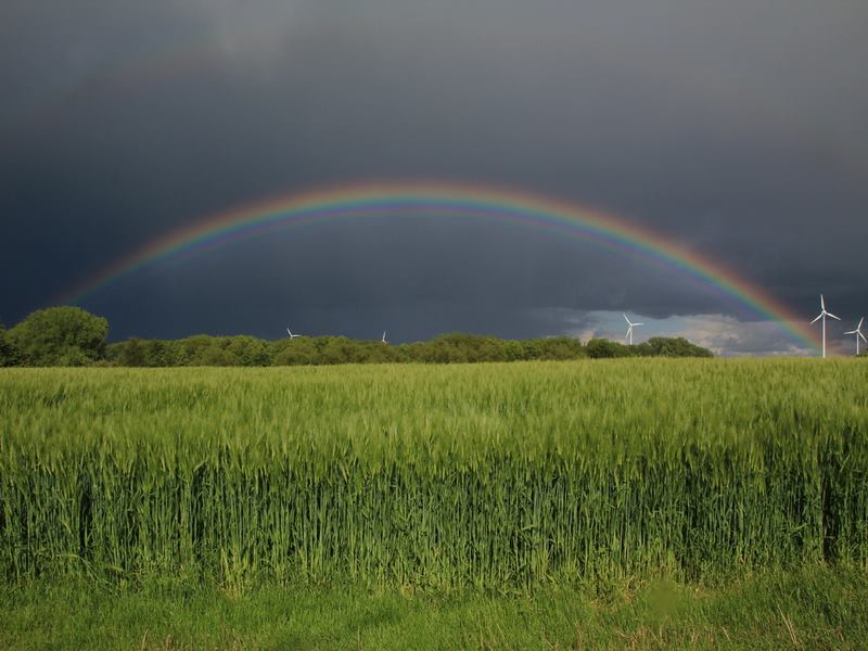 Regenbogen