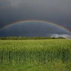 Regenbogen