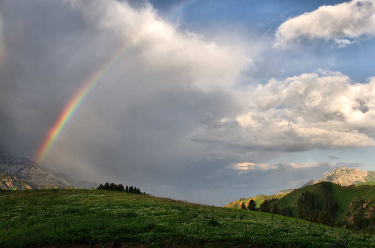 Regenbogen