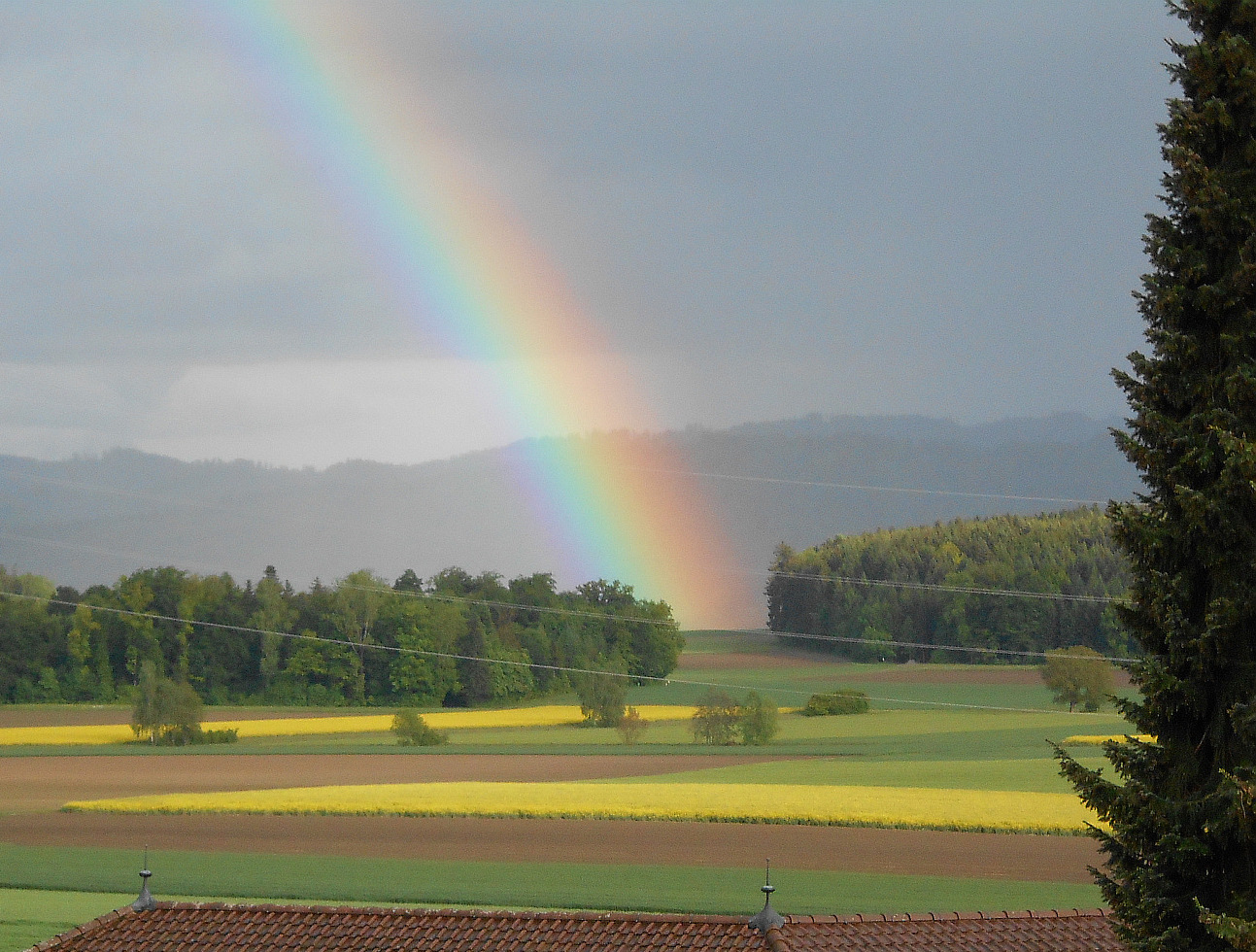 Regenbogen