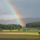 Regenbogen