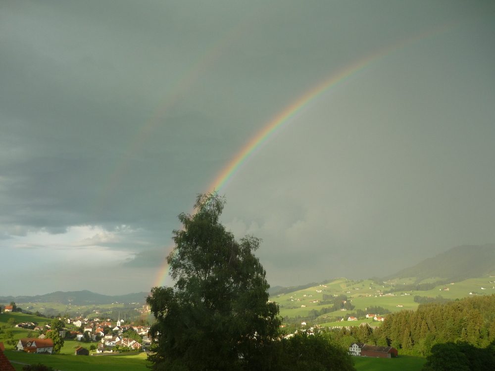 Regenbogen