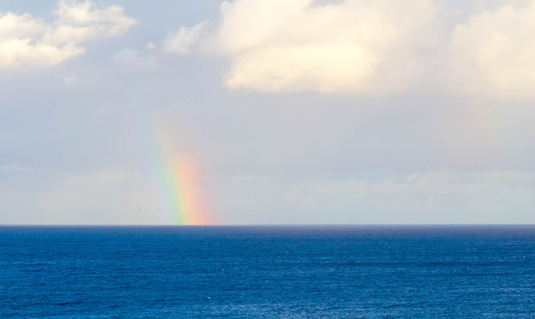 Regenbogen