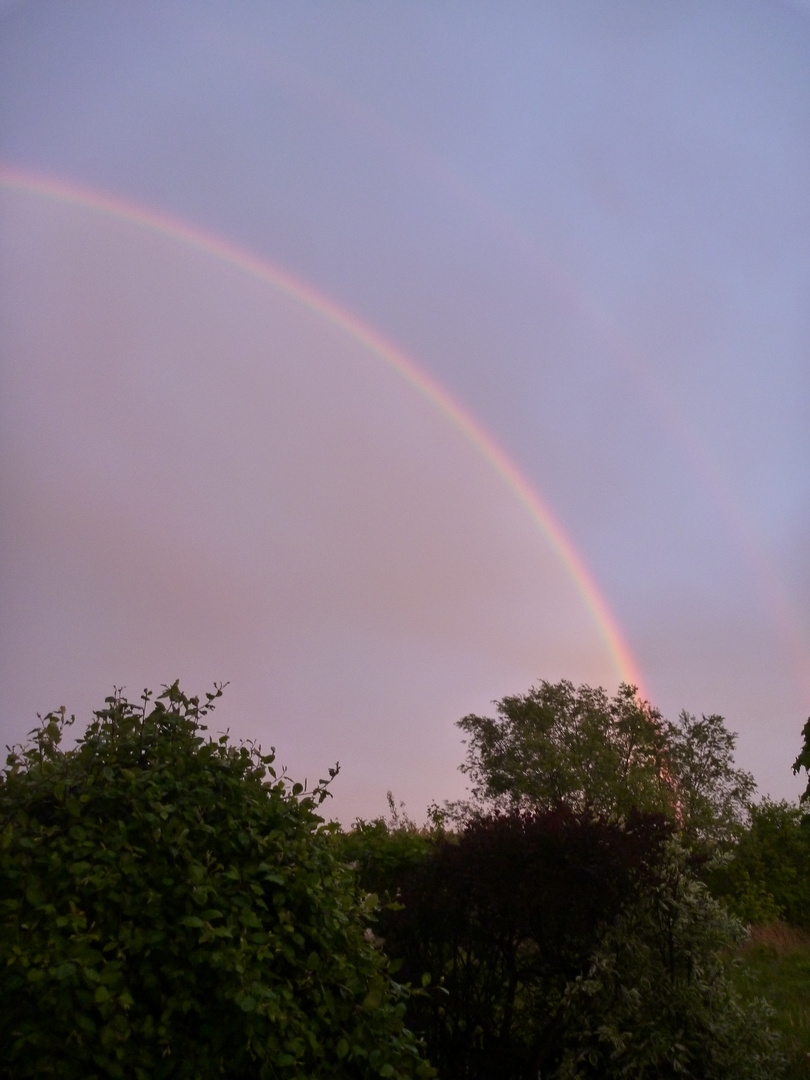 Regenbogen