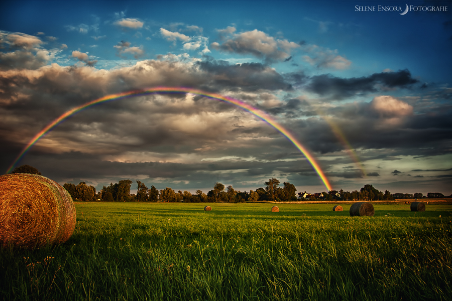 Regenbogen