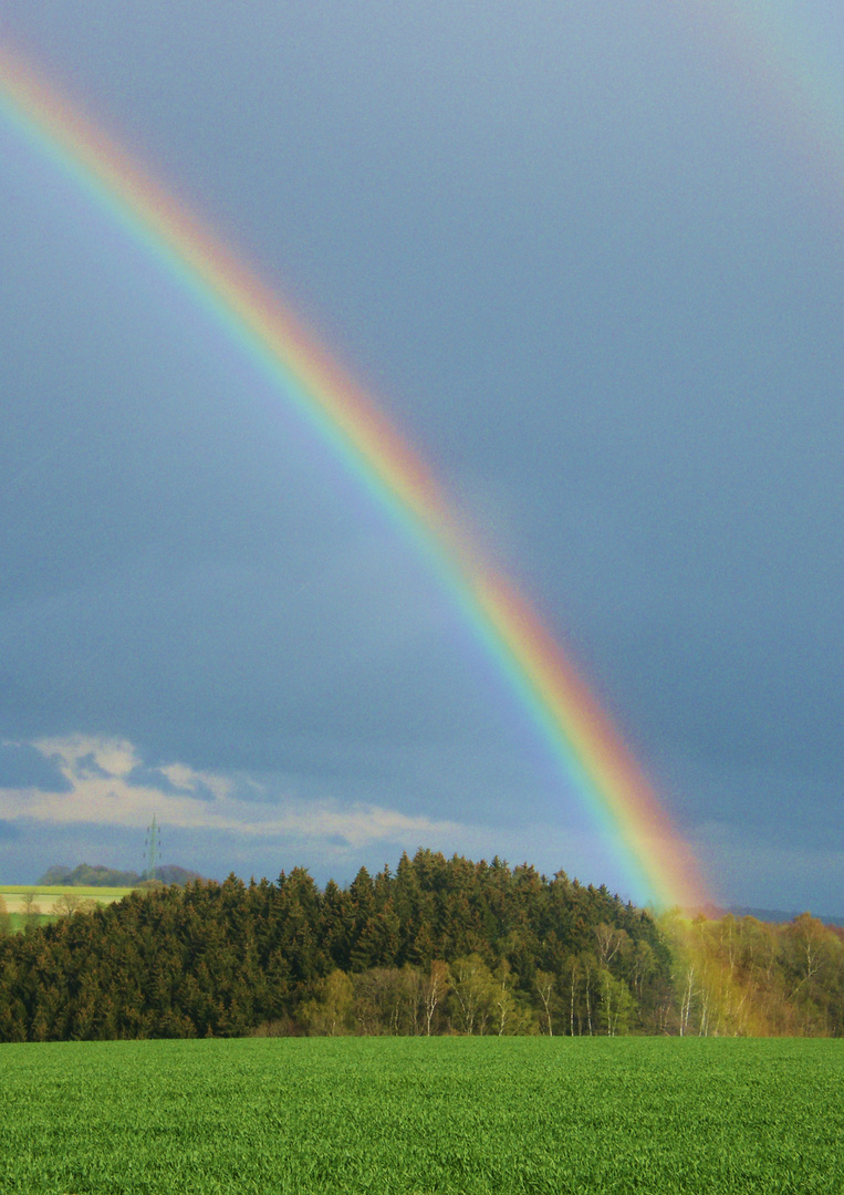 Regenbogen