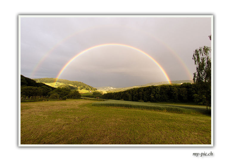 Regenbogen