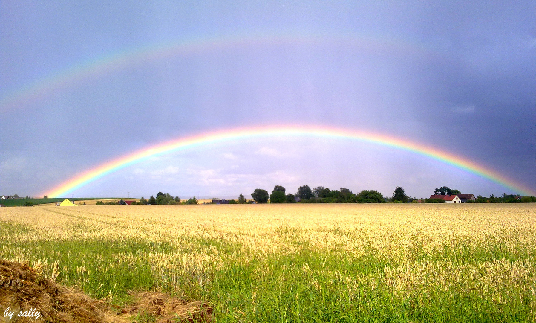 Regenbogen.