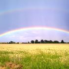 Regenbogen.