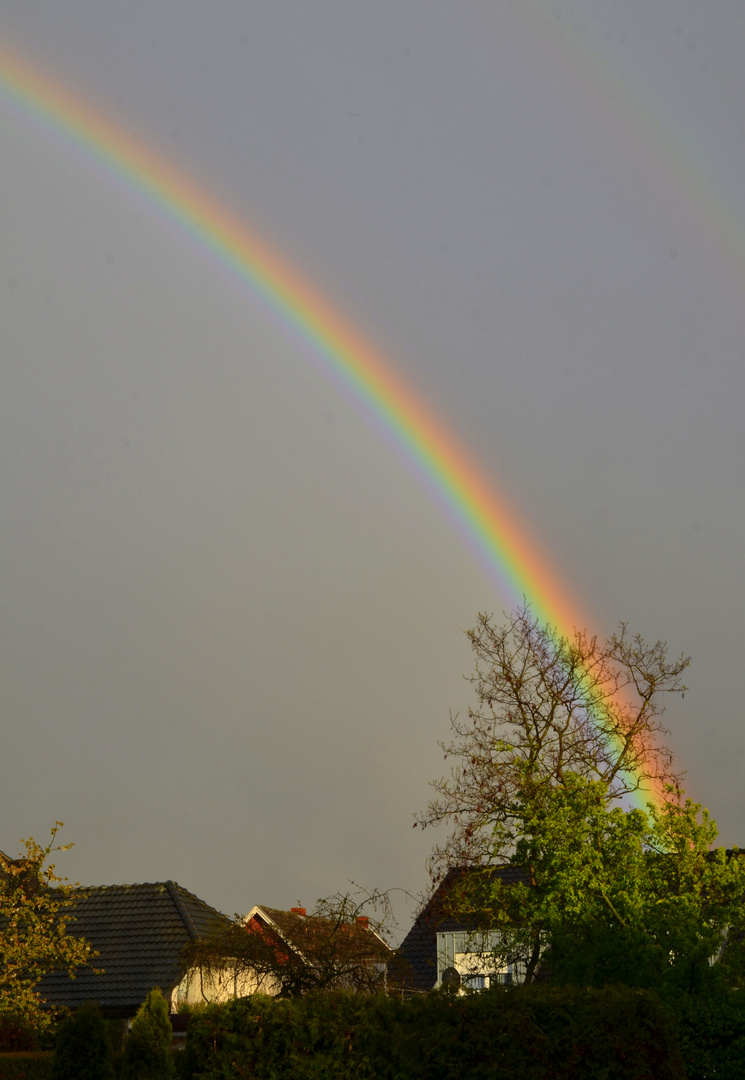 Regenbogen