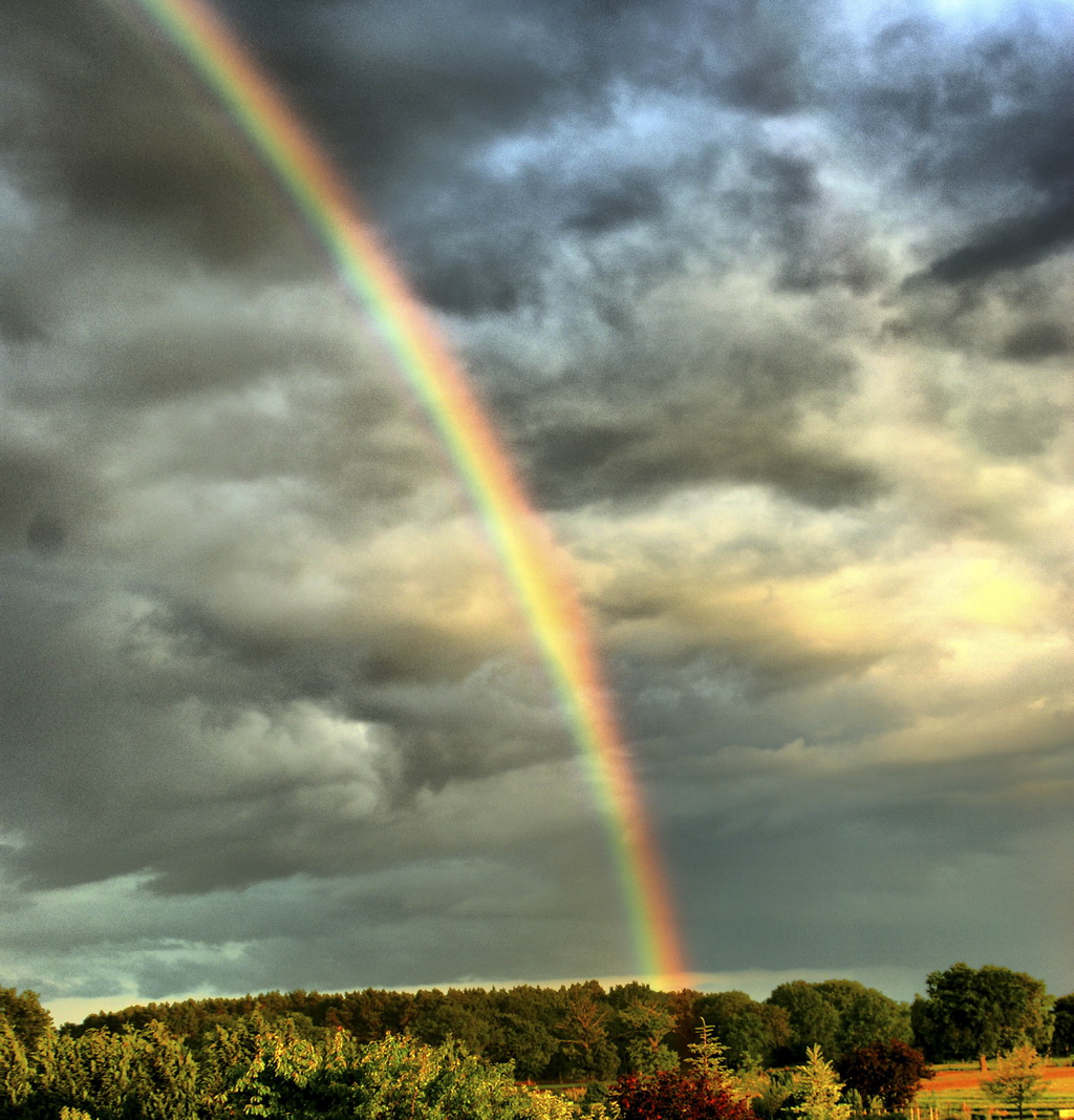 Regenbogen