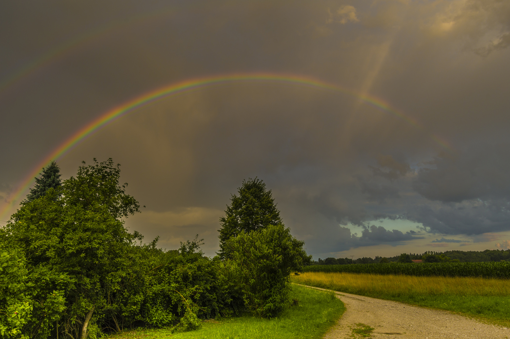 Regenbogen