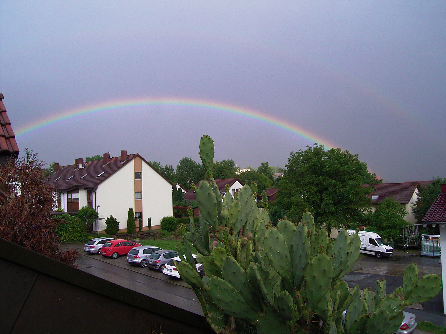 Regenbogen