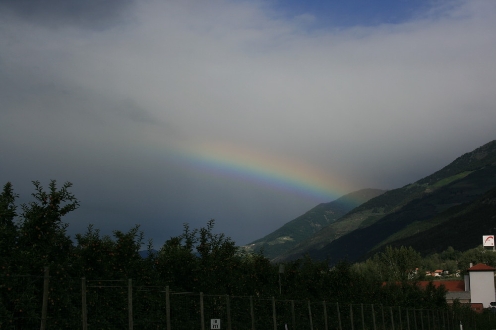 Regenbogen