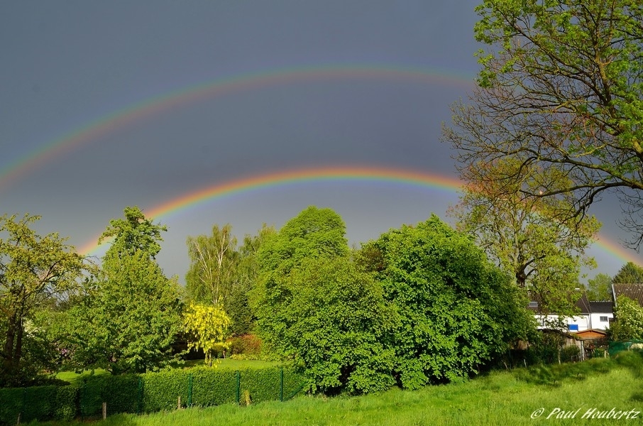 Regenbogen