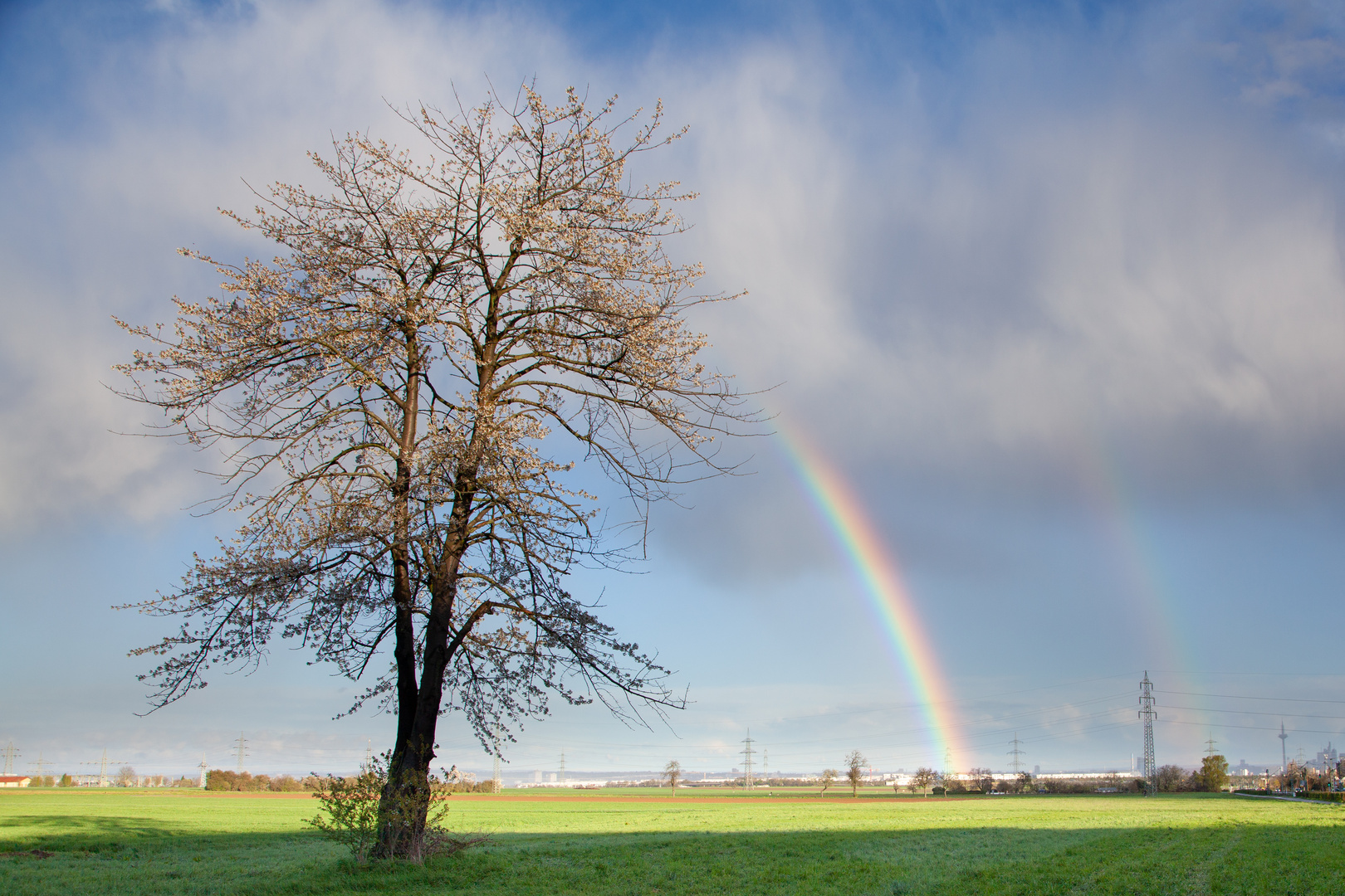 Regenbogen